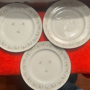 Haviland White Dinner Plates with Floral Design Bavarian Germany (3)